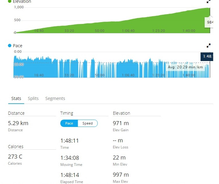 Everesting Loay Garmin Elevation